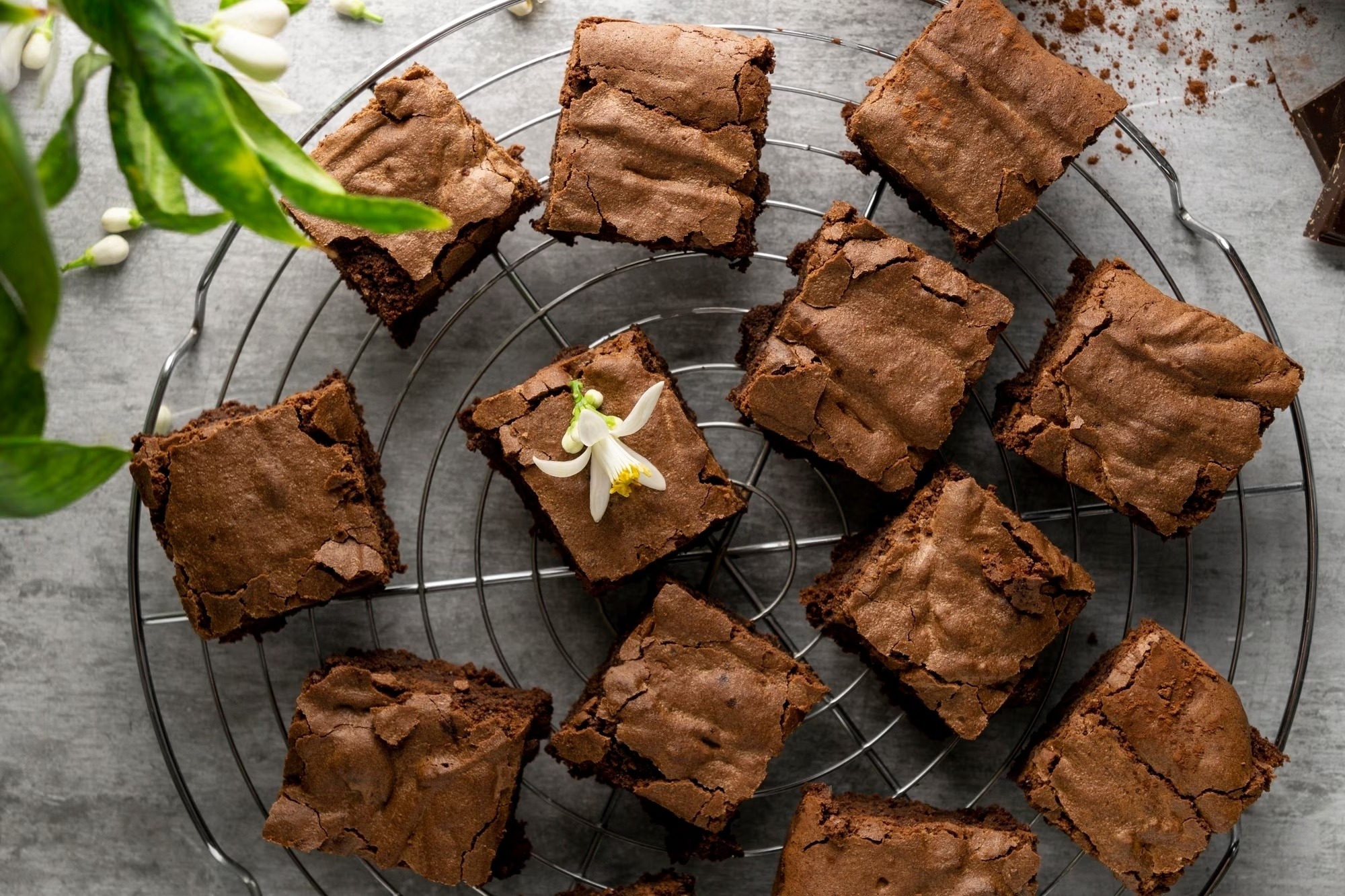 Carob for Сonfectionery