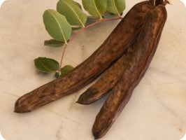 carob-pods